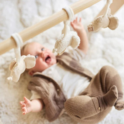Babygym Speeltjes - Elephant Tales - Babywinkel - 8717329401167