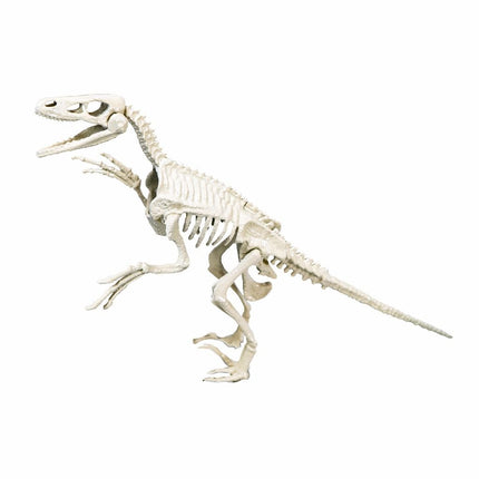 Clementoni Archeospel Velociraptor - Babywinkel - 8005125669523