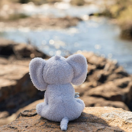 <tc>Little Dutch</tc> Pluszowy słoń Safari 17 cm