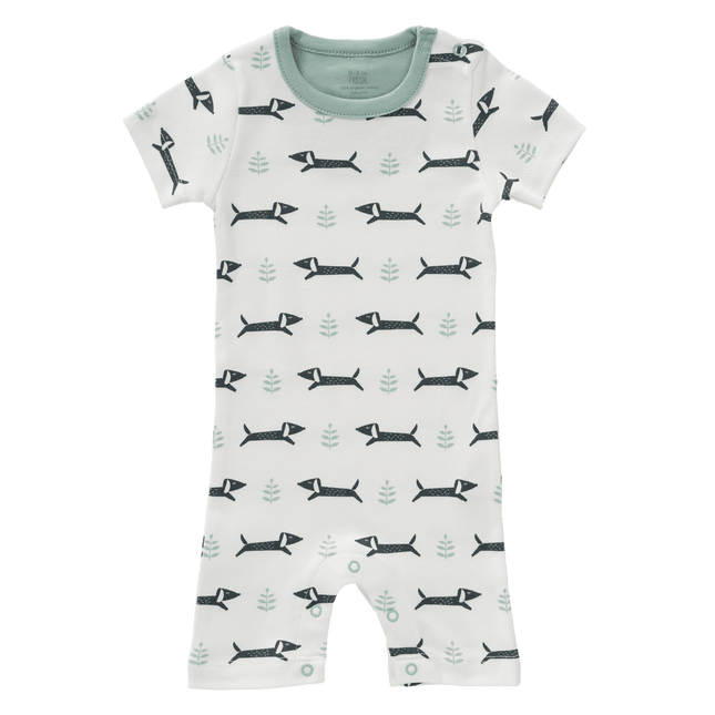 Fresk Boxpakje Dachsy - Fresk - Babywinkel - 8719638236720