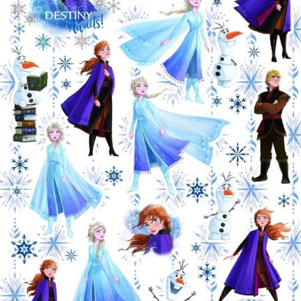 Frozen Stickers Glitter - Babywinkel - 8718819313434