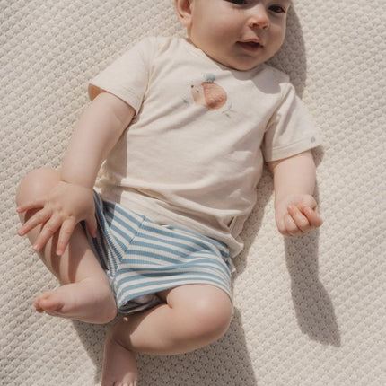 Korte broek blauw Stone Blue stripe koop je bij Babywinkel