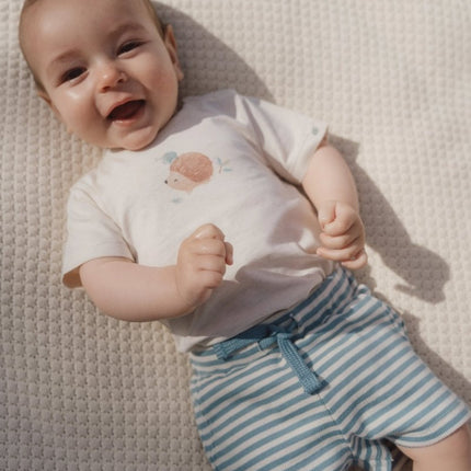 Korte broek blauw Stone Blue stripe koop je bij Babywinkel