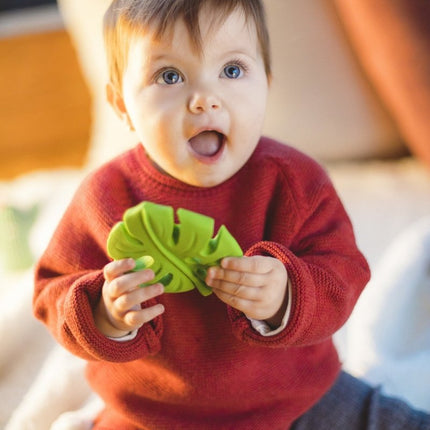 Lanco Bijtring Palmblad - Lanco - Babywinkel - 842467890418