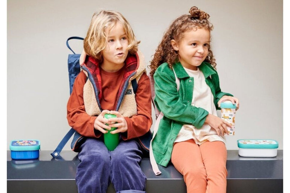 Mepal Lunchbox Frozen 2 koop je bij Babywinkel