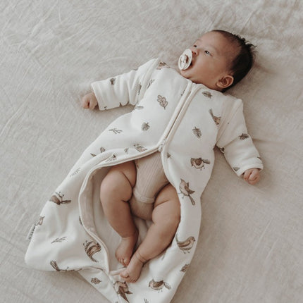Meyco Baby Robin Baby Slaapzak Met Afritsbare Mouwen Multicolour - Meyco - Babywinkel - 4054703824032