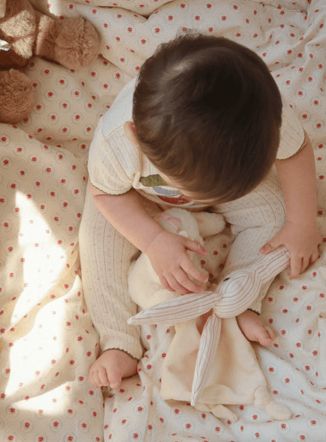 Ratelaar Konijn Stripie Petite Rose koop je bij Babywinkel