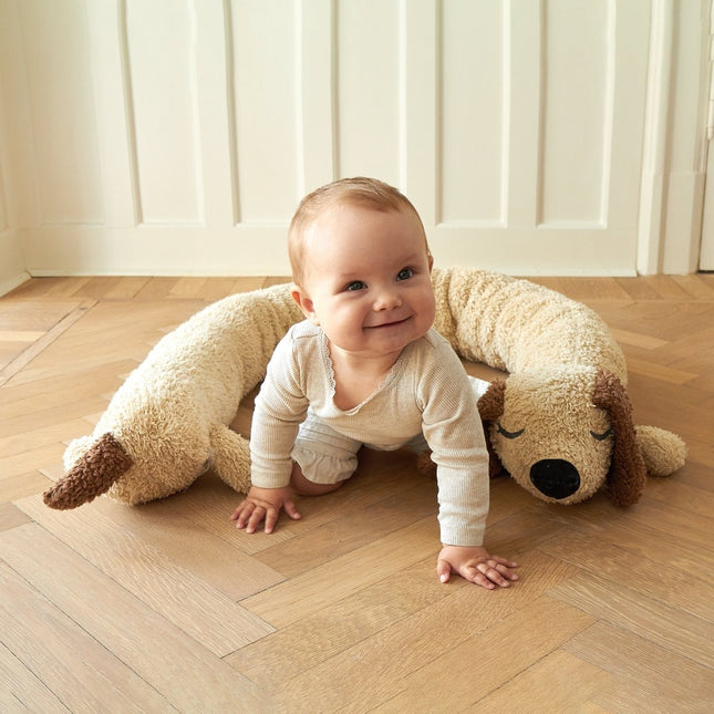 Roommate Bedomrander Lange Hond koop je bij Babywinkel