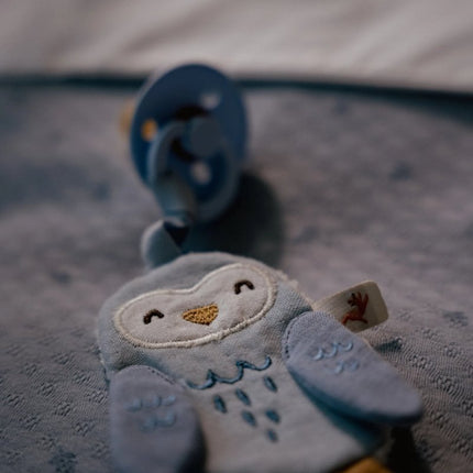 Little Dutch Speendoekje Uil Forest Friends koop je bij Babywinkel