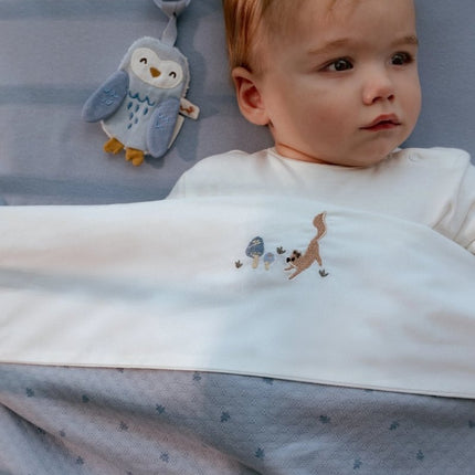 Little Dutch Speendoekje Uil Forest Friends koop je bij Babywinkel