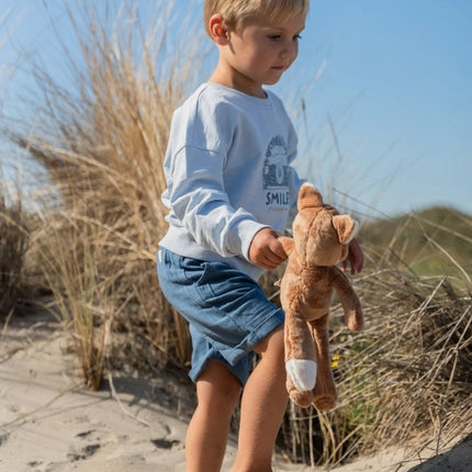 Sweater Light Blue koop je bij Babywinkel